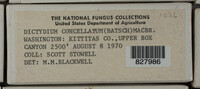Image Associated With the Occurence